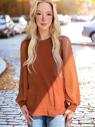 WIHOLL Long Sleeve Shirts for Women Tops Tunic Fall Trendy Crew Neck Clothes